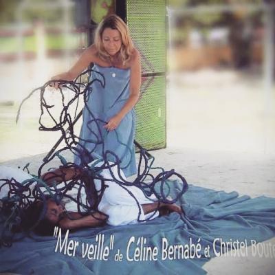 Performance Mer Veille