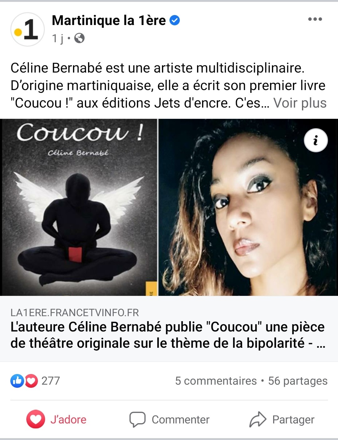 Article en ligne de Martinique la première (France Télévisions)